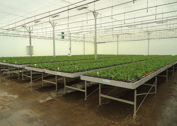 Cultivation tables